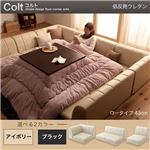 ソファーセット Atype ロータイプ【COLT】低反発ウレタン仕様 ブラック フロアコーナーソファ【COLT】コルト