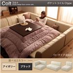 ソファーセット Ctype ロータイプ【COLT】ポケットコイル仕様 ブラック フロアコーナーソファ【COLT】コルト