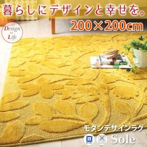 ラグマット 200×200cm モダンデザインラグ【Sole】ソーレ
