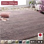 ラグマット 200×200cm【rayures】ベージュ さらふわ国産ミックスシャギーラグ【rayures】レイユール