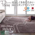 ラグマット 200×250cm【pavey】モーヴ 夏涼しく冬あたたかい 国産モダンデザインラグ【pavey】パヴィ