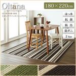ラグマット 180×220cm【oltana】ブラウン 撥水・抗菌・国産モダンデザインダイニングラグ【oltana】オルタナ