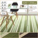 ラグマット 220×250cm【oltana】ブラウン 撥水・抗菌・国産モダンデザインダイニングラグ【oltana】オルタナ