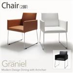 チェア2脚セット【Graniel】ブラック モダンデザインアームチェア付きダイニング【Graniel】グラニエル チェア2脚