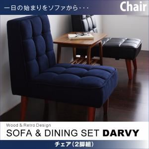 チェア2脚セット バイキャストブラック 【DARVY】ダーヴィ／チェア（2脚組）