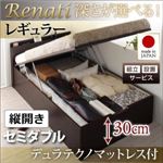 【組立設置費込】収納ベッド セミダブル・レギュラー【縦開き】【Renati】【デュラテクノマットレス付】ダークブラウン 国産跳ね上げ収納ベッド【Renati】レナーチ