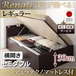 【組立設置費込】収納ベッド セミダブル・レギュラー【横開き】【Renati】【デュラテクノマットレス付】ナチュラル 国産跳ね上げ収納ベッド【Renati】レナーチ