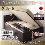 【組立設置費込】収納ベッド セミダブル・グランド【横開き】【Renati】【デュラテクノマットレス付】ナチュラル 国産跳ね上げ収納ベッド【Renati】レナーチ