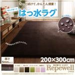 ラグマット【Repewell】200×300cm 厚さ：5mm ミントグリーン 厚みが選べる！ 撥水ラグ【Repewell】レペウェル