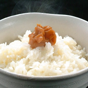 あったかごはん 大盛 250g　20個セット