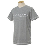 Burberry(バーバリー) ROOSE SLIM GY メンズTシャツ 3