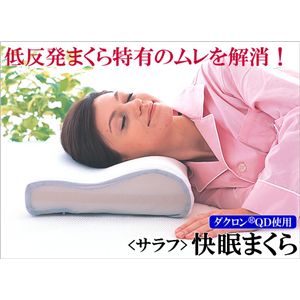 ダクロン(R)QD低反発ピローMサイズ