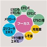 セルライトディレーション