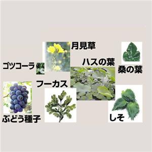 セルライトディレーション