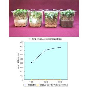 ヒロシ君が考えたはみがき粉
