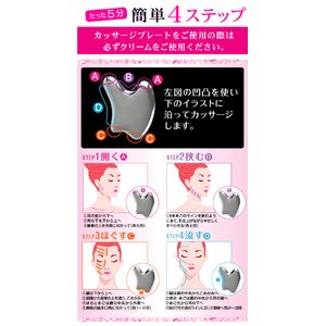 tFCVJbT[Wv[gXeX摜S