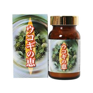 ウコギの恵 120粒