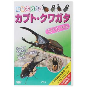 動物大好き!カブト・クワガタ スペシャル 【DVD】