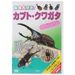 動物大好き!カブト・クワガタ スペシャル 【DVD】