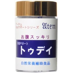 アーテム 快腸サポート トゥデイ 90粒