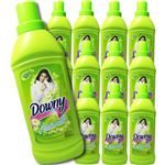 メキシコダウニー ナチュラル 850ml*12本入