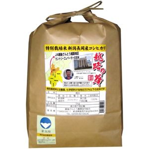 特別栽培米 新潟長岡産コシヒカリ 5Kg 越路の華