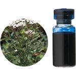 生活の木 レアバリューオイル ブルーヤロウ 3ml