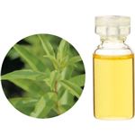 生活の木 レアバリューオイル レモンバーベナ 3ml