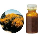 生活の木 花精油 ブルーム・スパニッシュAbs. 3ml