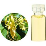 生活の木 オーガニックエッセンシャルオイル イランイラン・コンプリート 10ml