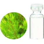 生活の木 オーガニックエッセンシャルオイル ティートゥリー 10ml