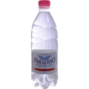 ミネラルウォーター パラディーゾ ナチュラーレ 500ml*24本