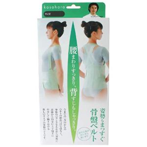姿勢もまっすぐ 骨盤ベルト L-LL
