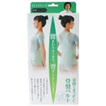 姿勢もまっすぐ 骨盤ベルト L-LL