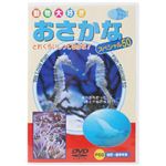 動物大好きおさかな スペシャル50 【DVD】