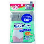 リクープ 吸収パンツ 100ml ブリーフタイプ 男性用 グレー L-LL