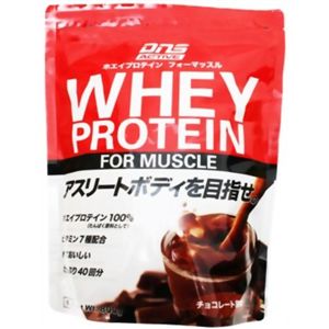 DNSアクティブ ホエイプロテインフォーマッスル チョコレート味 800g