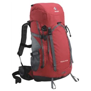 Deuter ツアーライト30+ クランベリー*チタン D43907-544