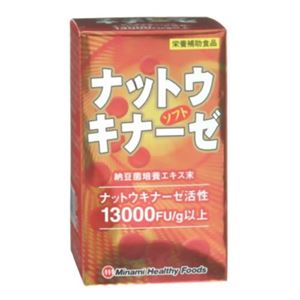 ナットウキナーゼソフト 90球