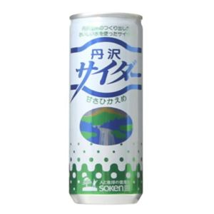 創健社 丹沢サイダー(甘さひかえめ) 250ml*30本