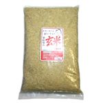 無洗米 卑弥呼玄米3kg