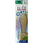 is-fit 制菌サラン男性用 25.0 【3セット】