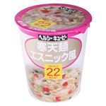 ヘルシーキューピー 寒天麺 エスニック風 22kcal 【11セット】