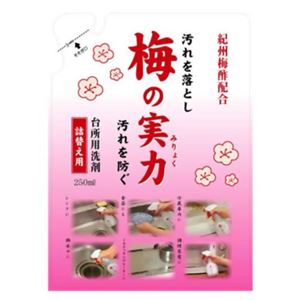 ティポス 梅の実力(みりょく) 台所用 詰替え250ml 【9セット】