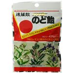 後藤散ノンシュガーのど飴 35g 【18セット】