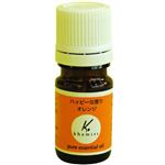 ケミリー オレンジ 5ml 【2セット】