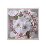 AIR FRESH コーン 桜 12個入 【14セット】