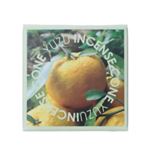 AIR FRESH コーン 柚子 12個入 【14セット】