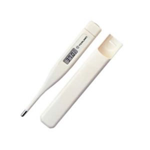 テルモ 電子体温計 C203 ET-C203P01 【2セット】