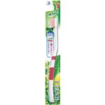 フレッシュハブラシ Mカット かため 【50セット】